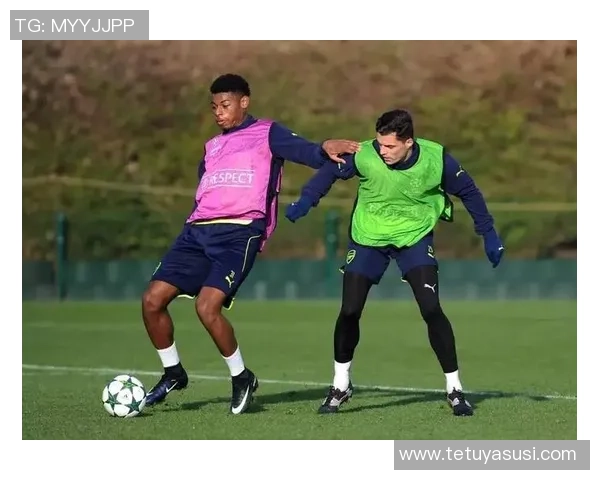 广东东莞银行篮球队与辽宁队激战正酣最终比分揭晓引发热议